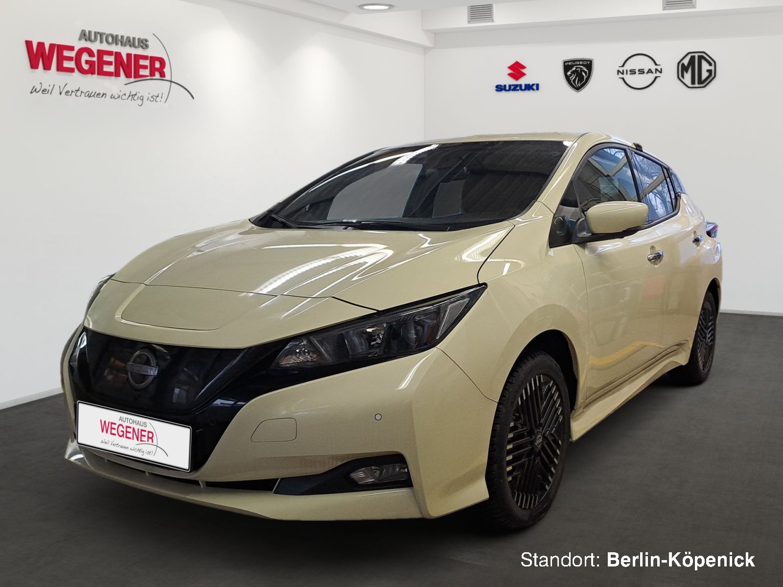 Nissan Leaf N-Connecta 62 - LED Navi SHZ 360° TAXI