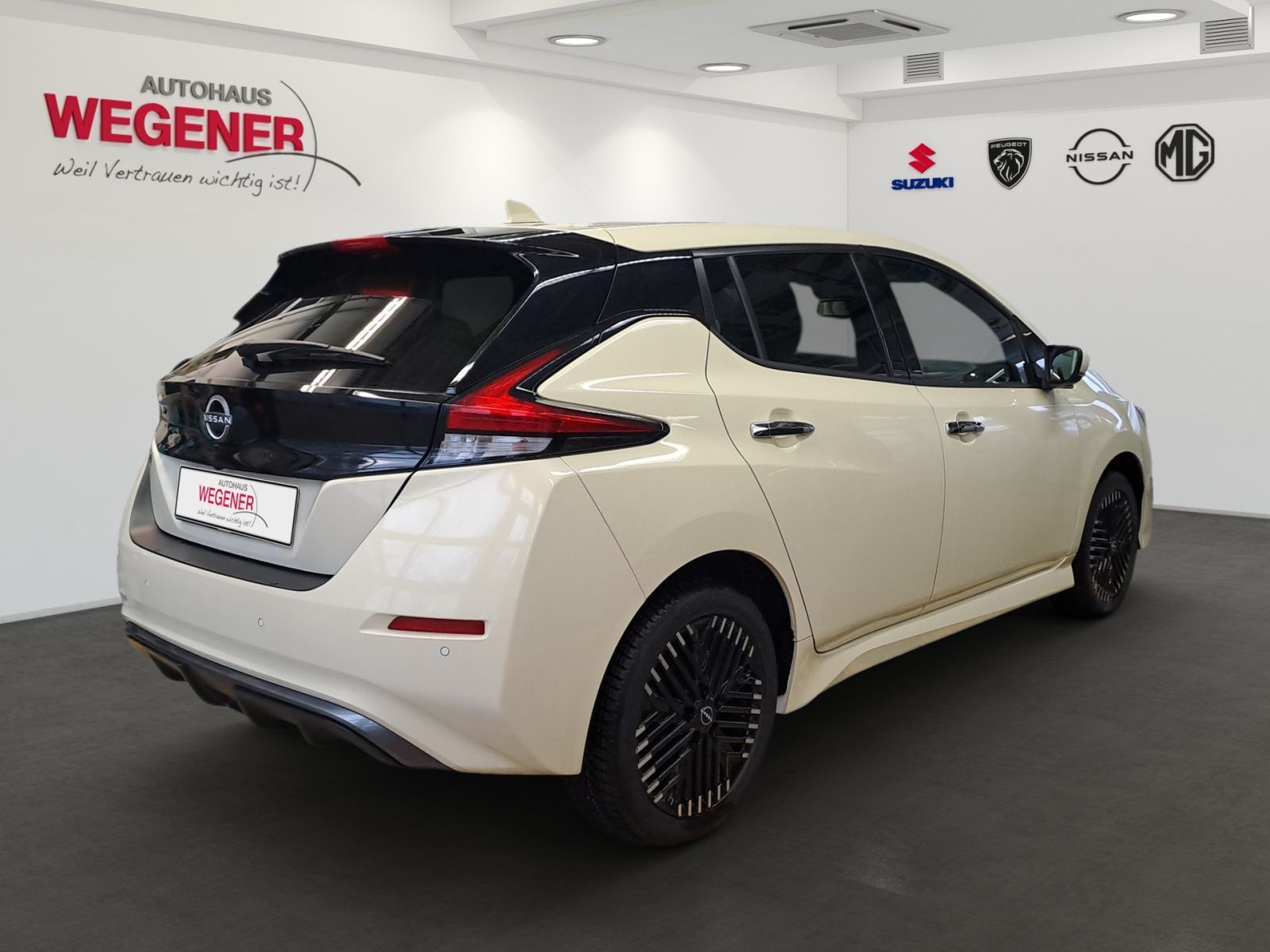 NISSAN Leaf *TAXI* N-Connecta RW-385km- LED Navi SHZ 36