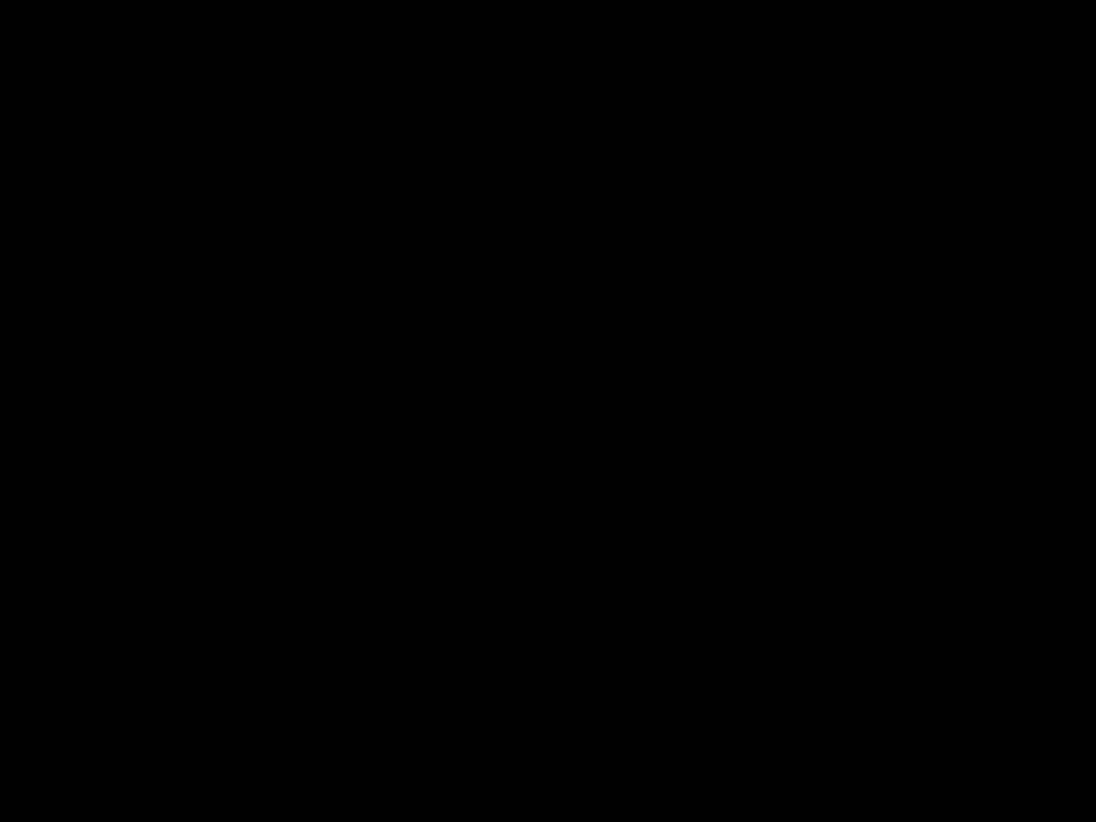 NISSAN Interstar 2.2 dci AT L2H2 - Stdhzg Navi CarPlay