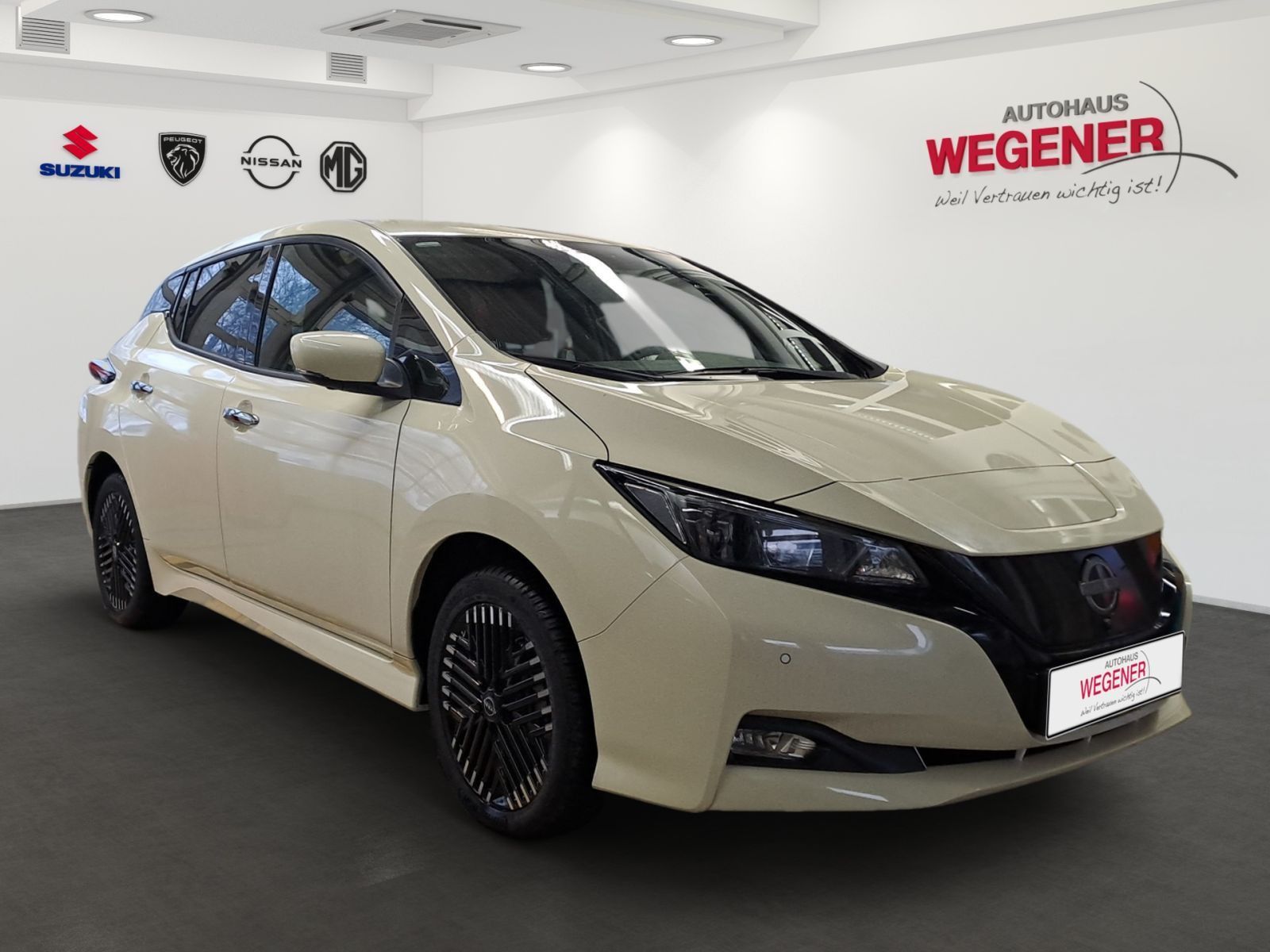 NISSAN Leaf *TAXI* N-Connecta RW-385km- LED Navi SHZ 36