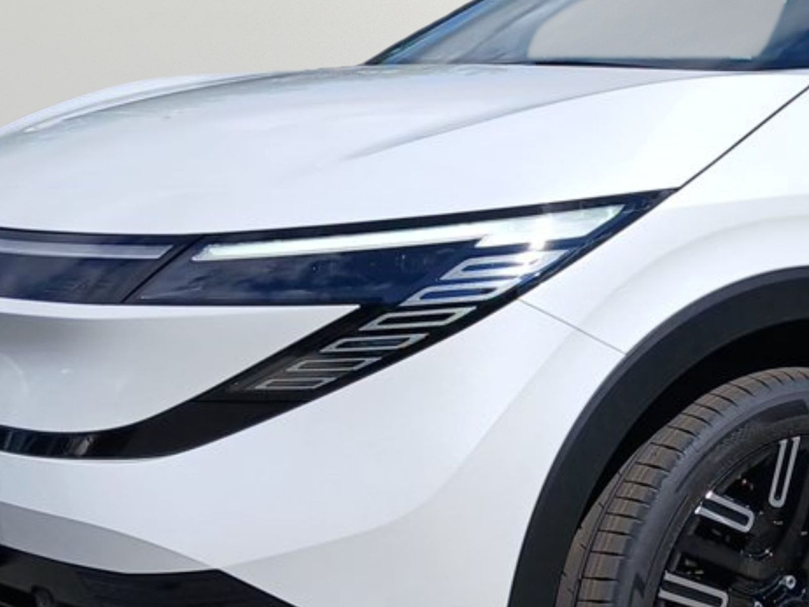 Nissan Leaf 75 kWh Evolve