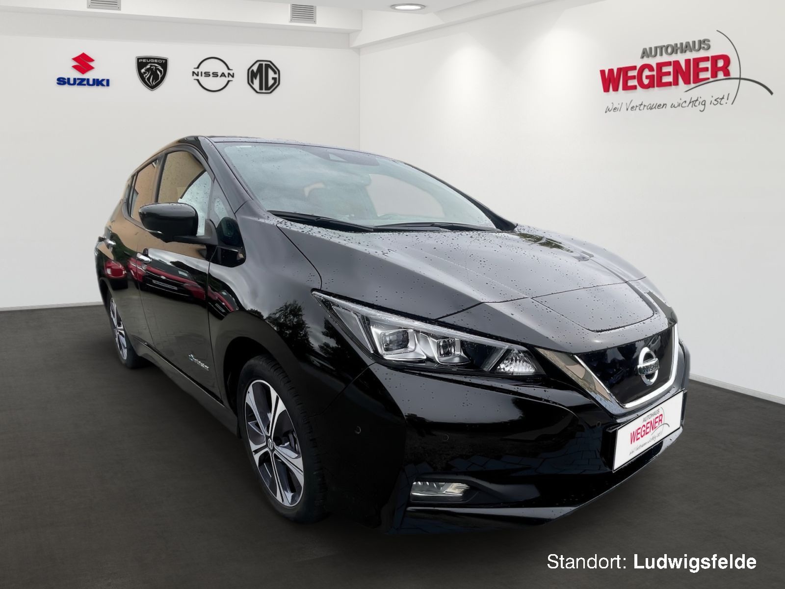 NISSAN Leaf  Tekna 40 - CAM Sitzheizung Navi